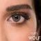 Claro Wolf - Yıllık Renkli Lens Claro Wolf - Yıllık Renkli Lens